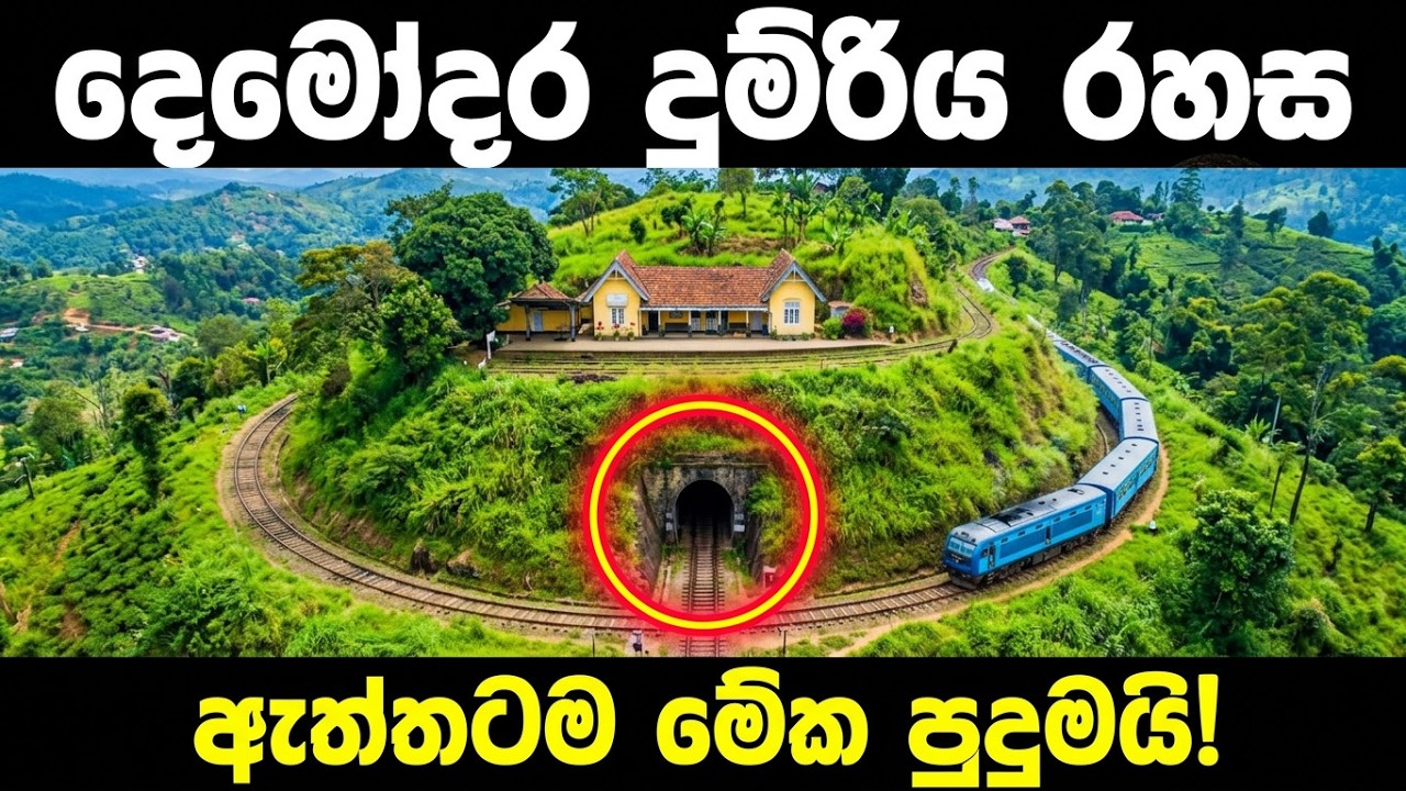 බිංගෙයක් උඩ තියෙන දෙමෝදර දුම්රිය ස්ථානය | Demodara railway station