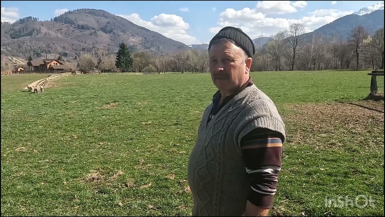 Fermă De Oi Bale a Lui Nelu Noaghea Din BRAN.Brasov.Oras cu tradiție in creșterea Oilor