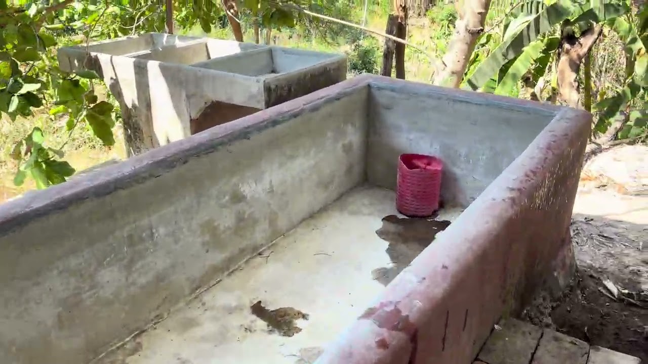Restaurando la galera 
