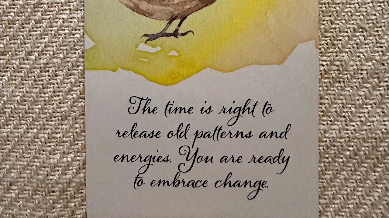 Embrace change!!! Prepare for new ❤️