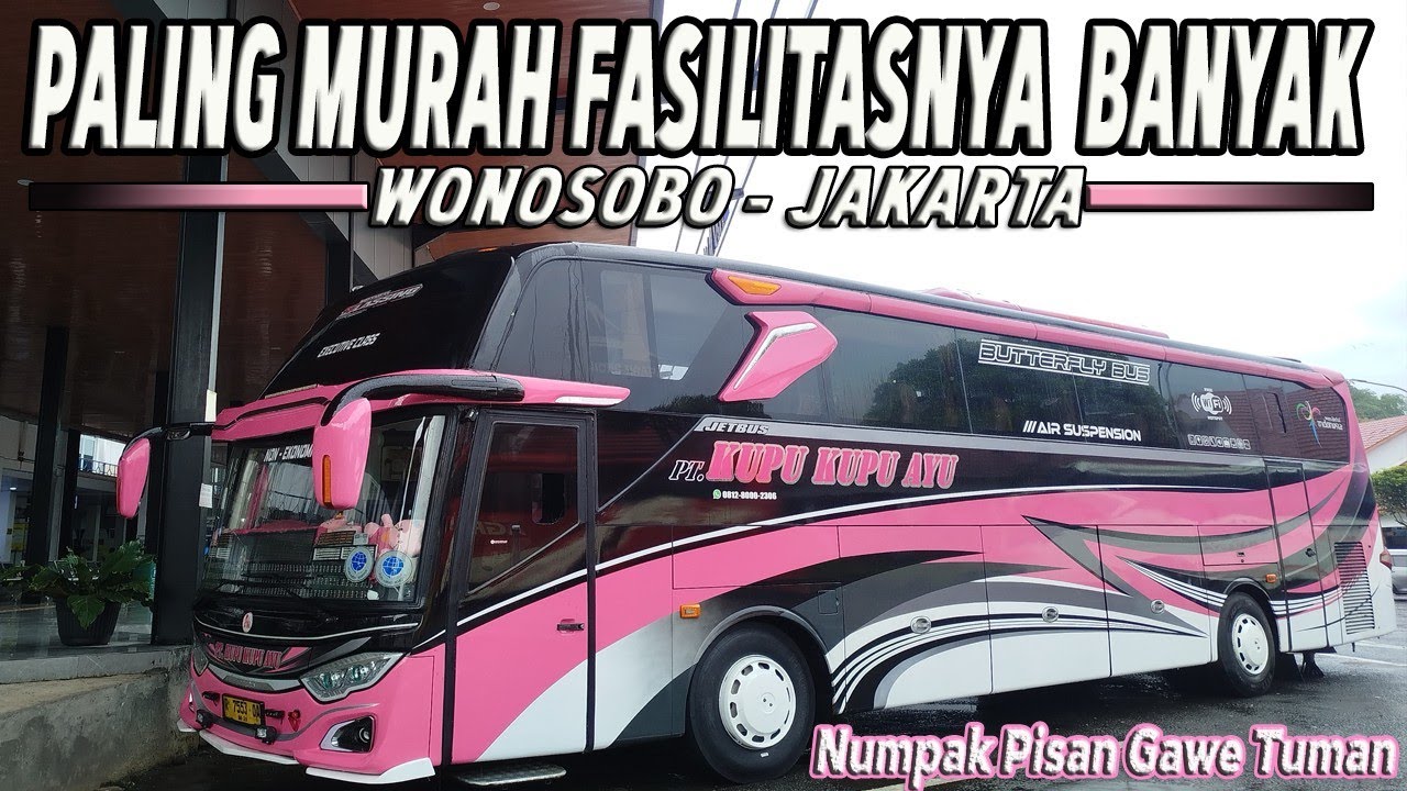 MURAH DAN FASILITAS LENGKAP‼️ Trip Report Bus Kupu Kupu Ayu 