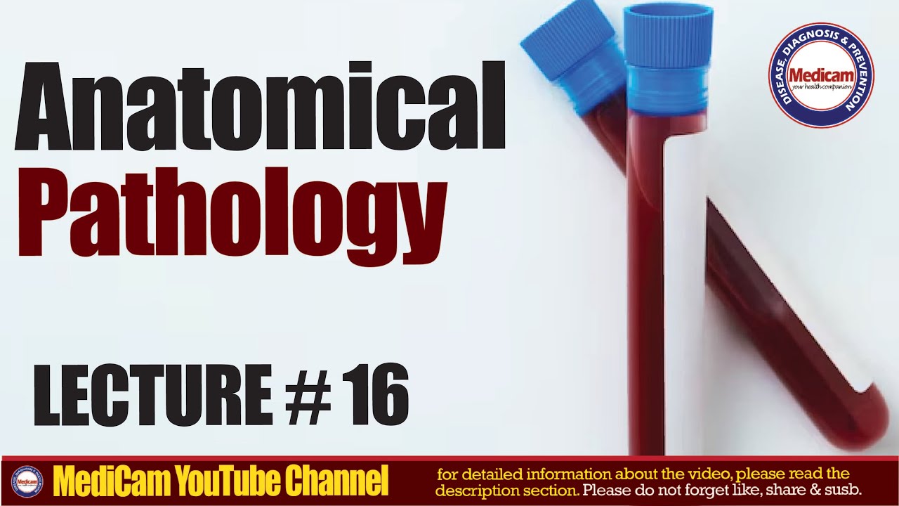 Anatomical Pathology | Common Diseases, Diagnosis & Case Studies