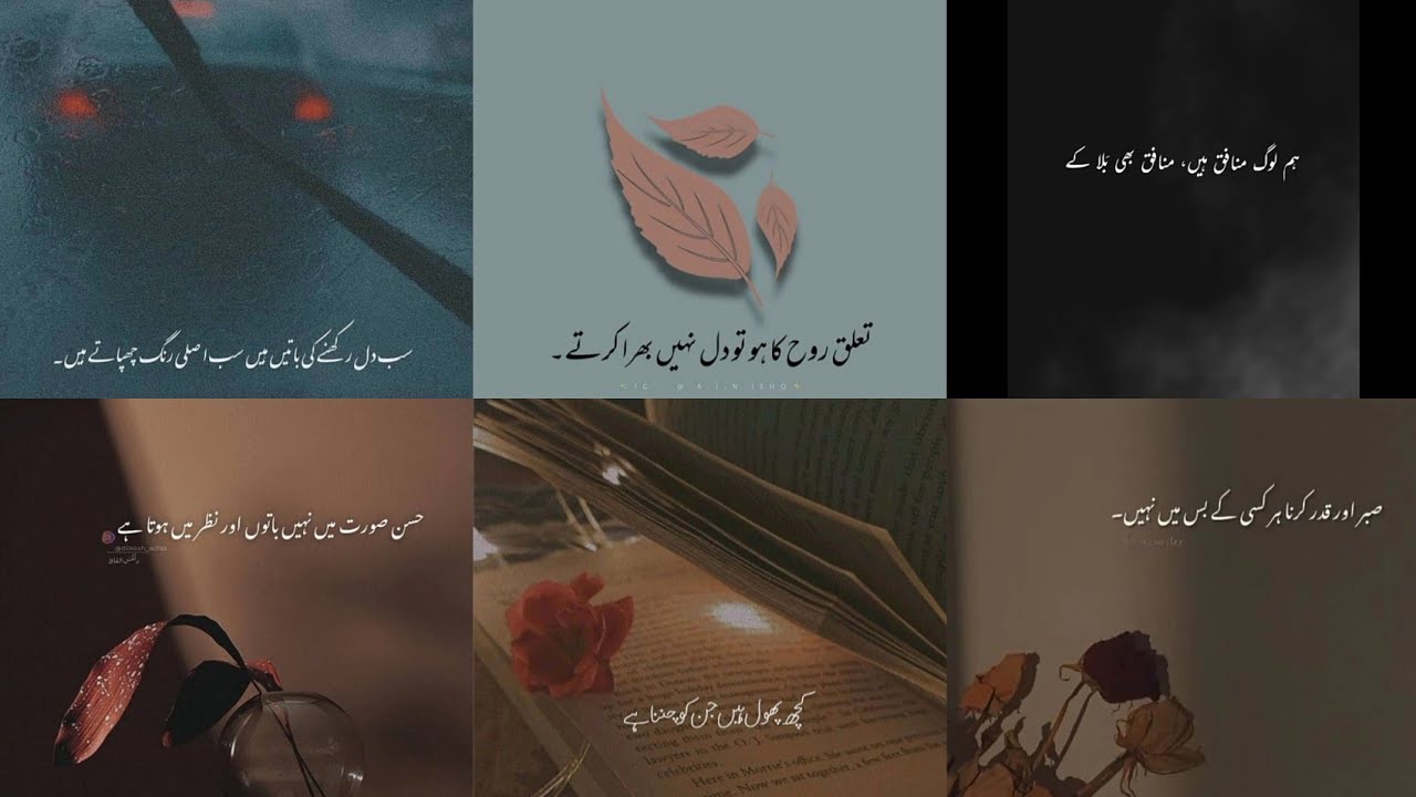 One Line Urdu Poetry for status/ dp/Instagram bio caption ideas/ Whatsapp status/ urdu quotes