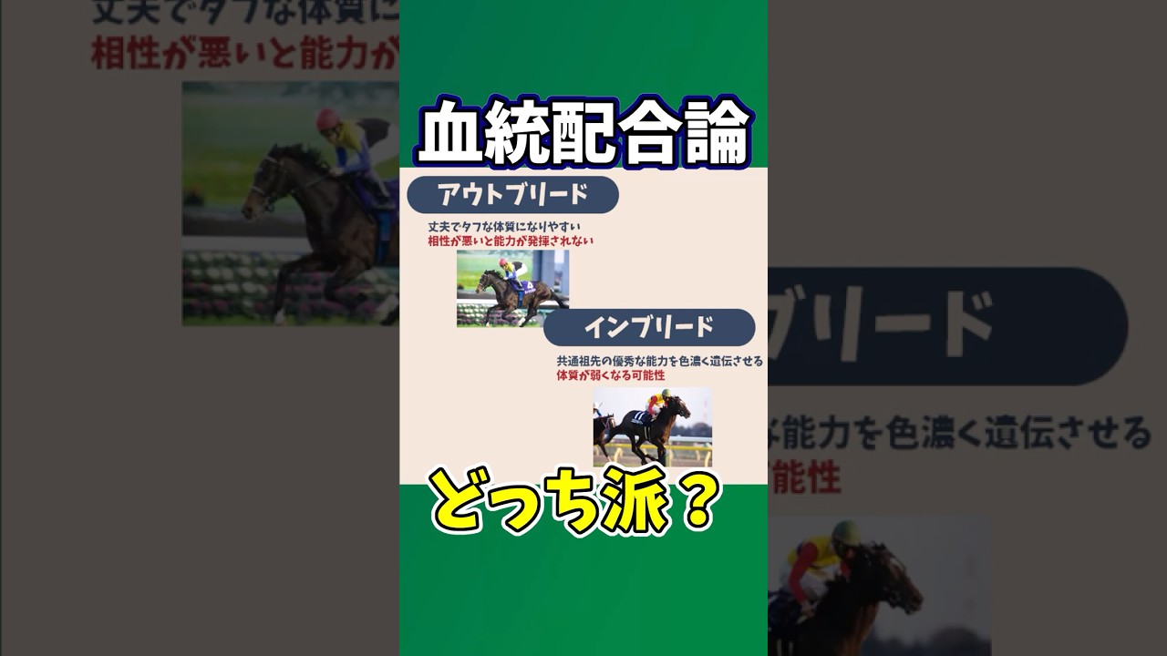 【競馬】血統配合論あなたはどっち派　#競馬 #インブリード #アウトブリード #血統 #サラブレッド #名馬列伝 #オルフェーヴル #ディープインパクト #競馬初心者 #競馬解説 #競馬血統