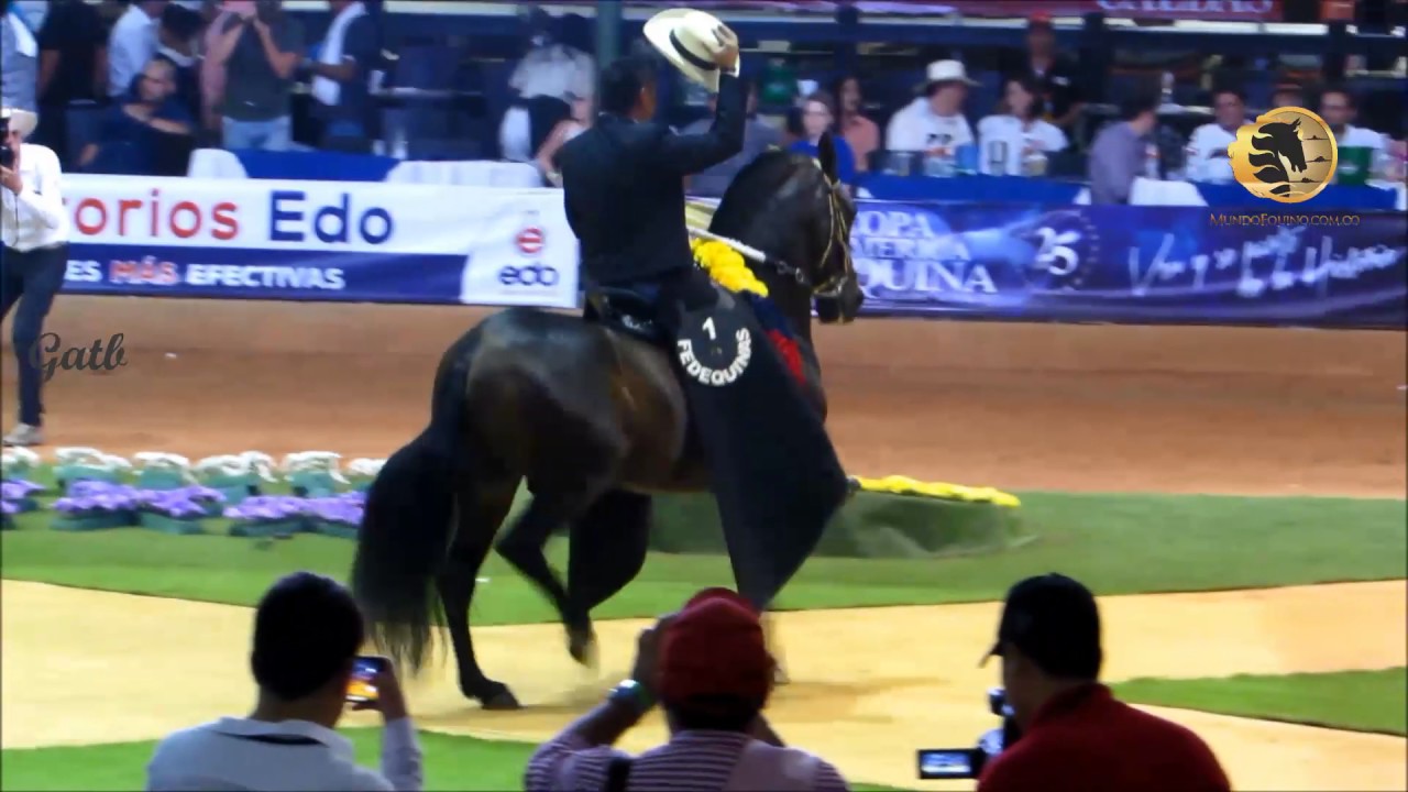 Novedoso, por s&eacute;ptima vez consecutiva, Campe&oacute;n Nacional 2017 del Trote y el Galope