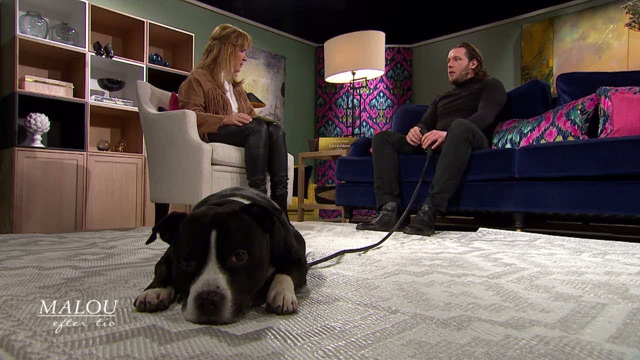Christian och hunden Maximus räddade 15-årig flicka från att frysa ihjäl  - Malou Efter tio (TV4)