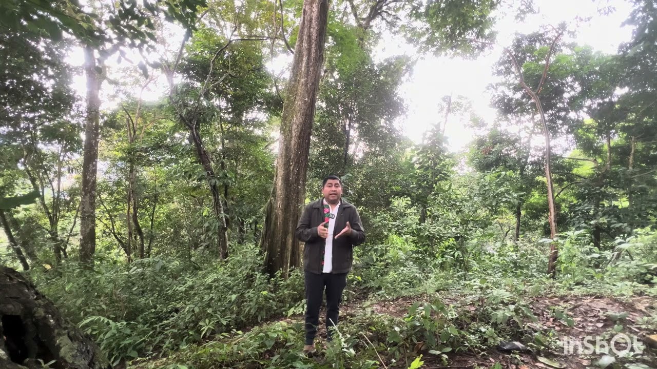 Postulación a consultor (MAKE SENSE)