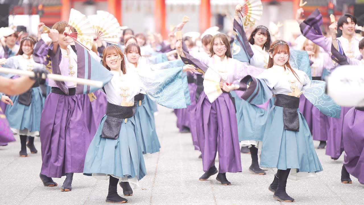 [4K] 早稲田大学よさこいチーム東京花火　京都さくらよさこい 2025 さくよさ 日曜日 神宮道スペシャルパレード