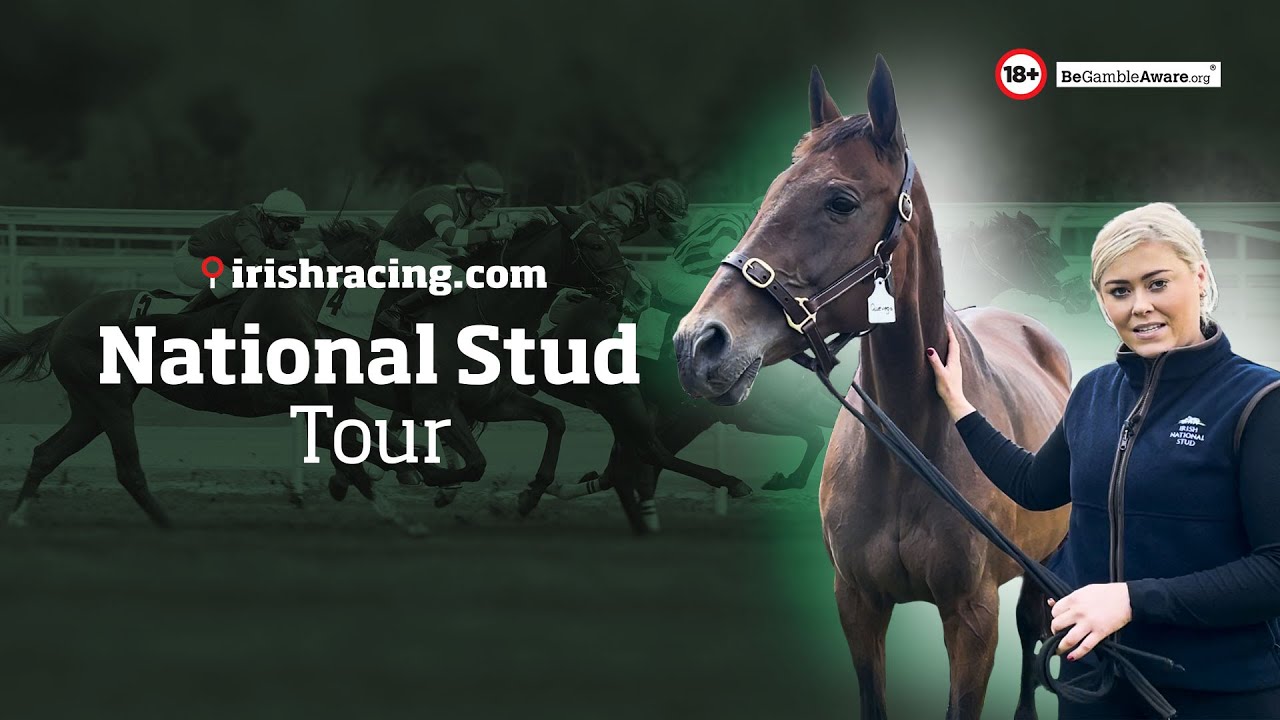 Irish National Stud Tour - May 2023