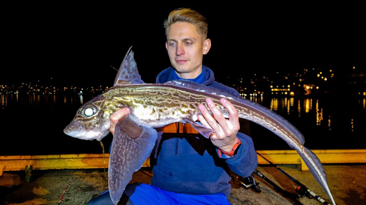 Fiske på Bontelabo i Bergen