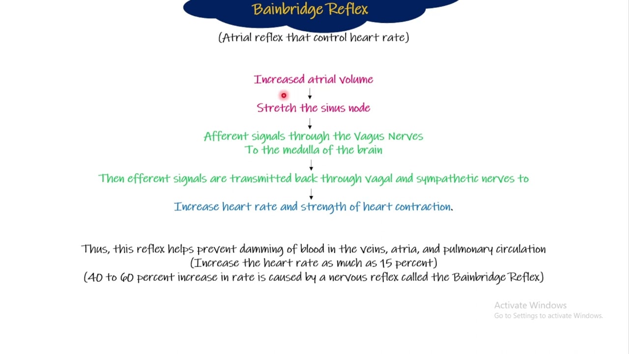 Bain Bridge Reflex. Chapter 18 part 9. Guyton and Hall Physiology.