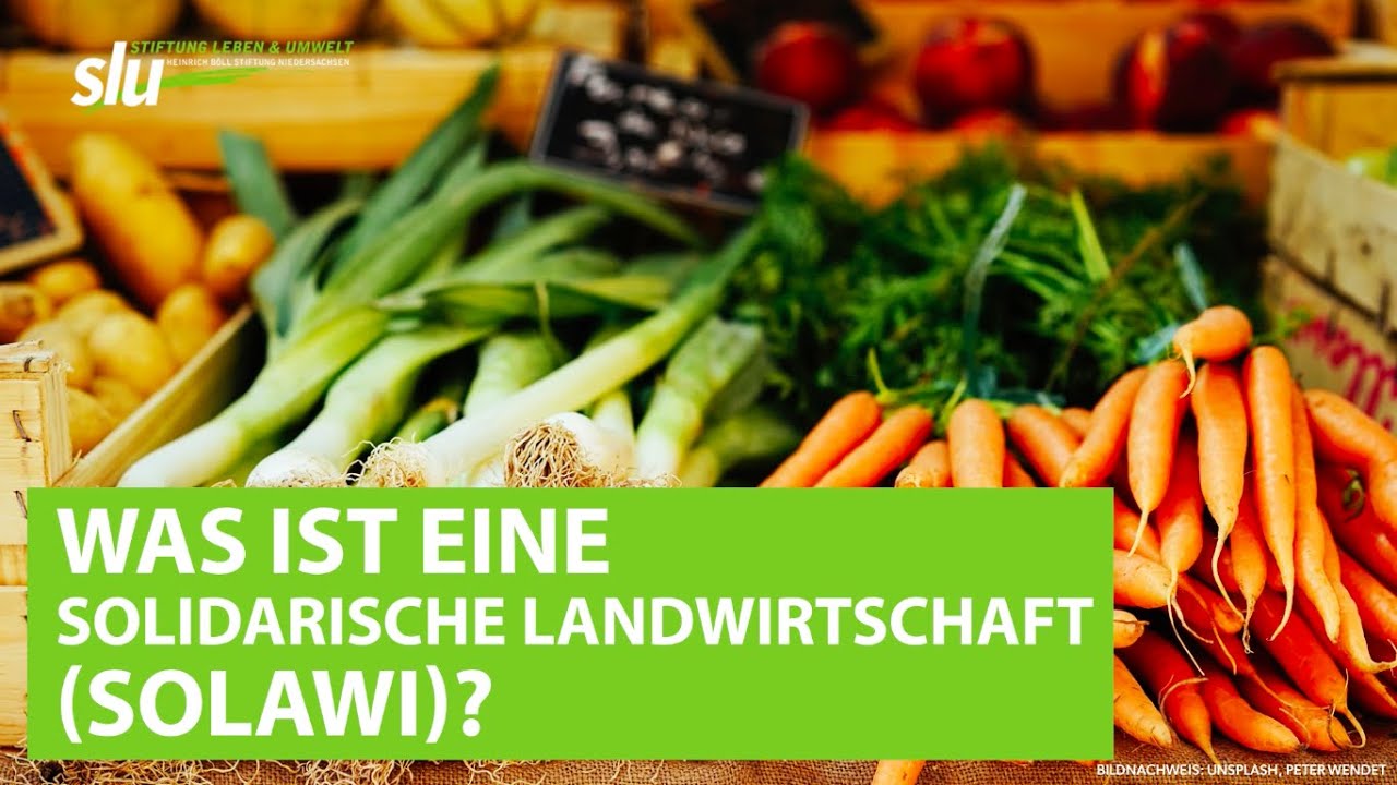 Was ist eine Solidarische Landwirtschaft (Solawi)?