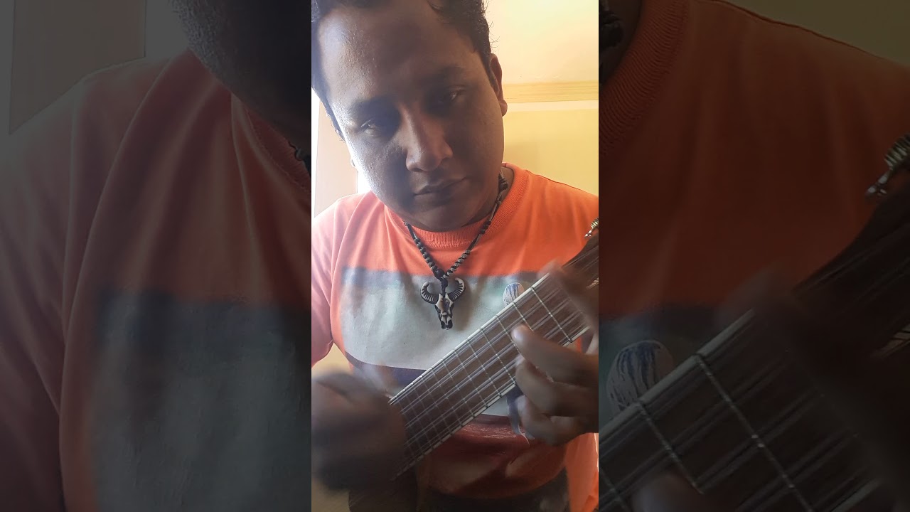 chayanteñita-cover en charango