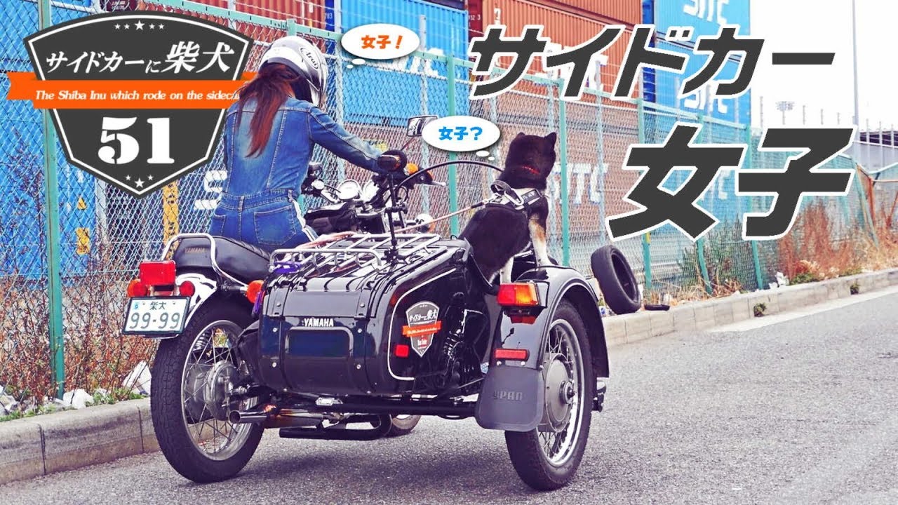 サイドカーに柴犬 ５１ [ かあちゃん、SR URALに乗る。バイク女子？ サイドカー女子！ ] The Shiba Inu which rode on the sidecar 51.