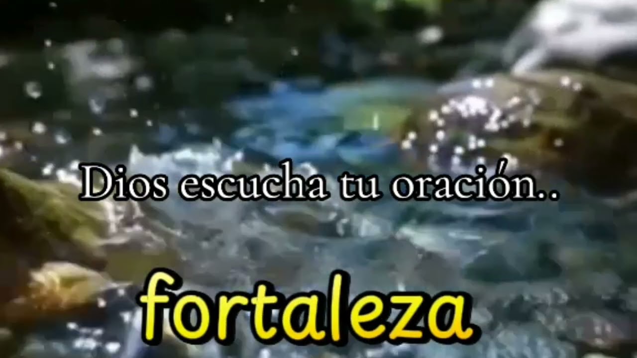 Dios escucha tu oración