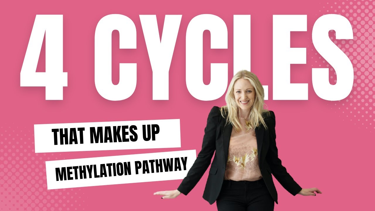 4 cycles that makes up methylation pathways