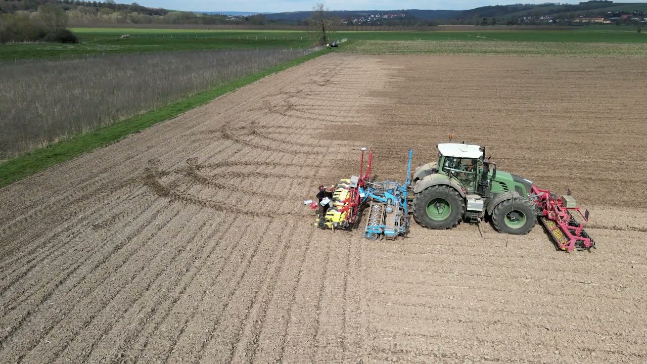 Steckrüben einbringen  mit dem Fendt  939  Vario