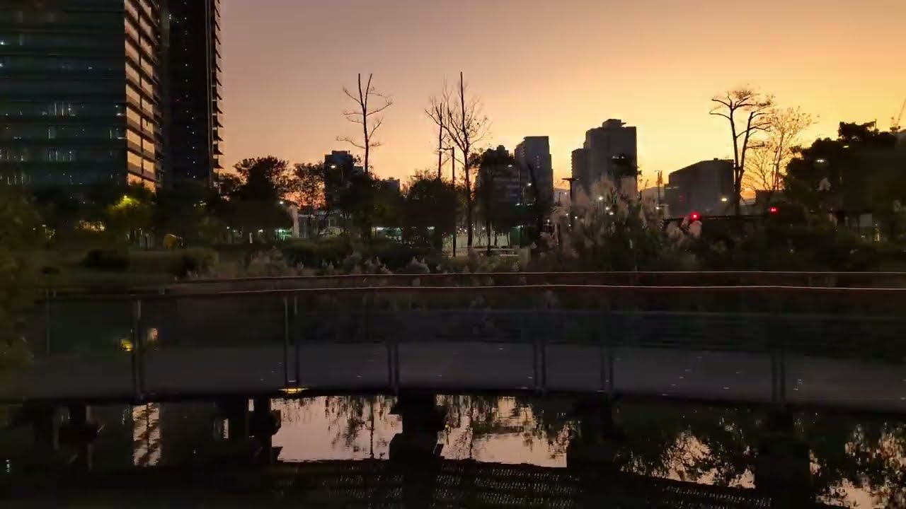 20260115新新公園