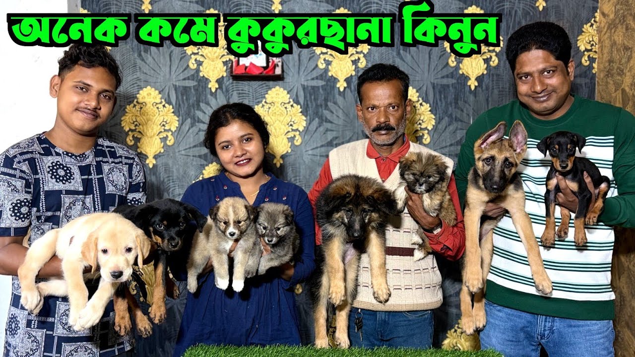 Puppies Sale Offers Price in Kolkata. Dog Market in Kolkata Price. Kolkata Dog Market.