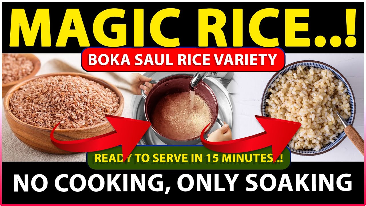 Magic Rice - No Cooking, Only Soaking | Boka Saul Rice Variety