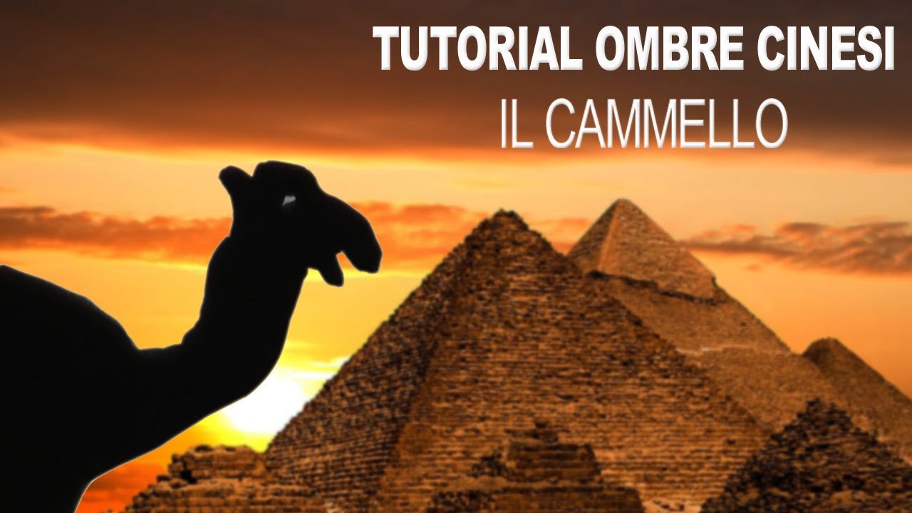 Tutorial Ombre Cinesi: Il cammello