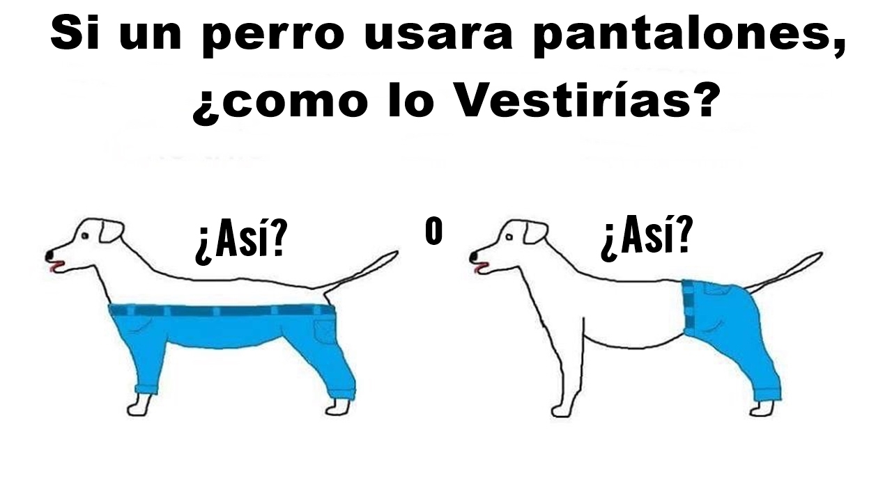 Divertidos Acertijos que pondrán a Prueba tu Inteligencia #3 | DeToxoMoroxo