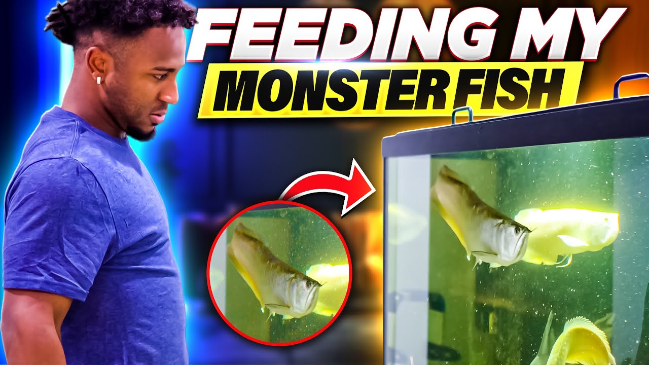 Ozzie Albies Feeds his MONSTER Fish!