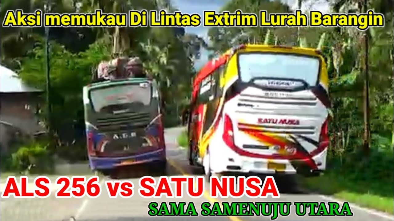 Virall...Dua Bus Cantik Di Lintas Sumatera, Satu Nusa VS ALS || Sama - Sama Menuju Utara