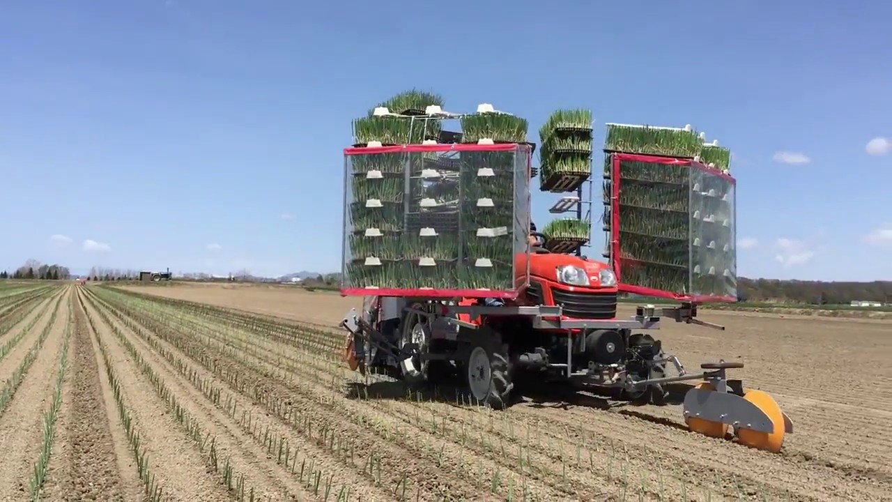 Onion 4 rows Seedling Transplanter One-person Operation High Speed Type - Minoru OPT40