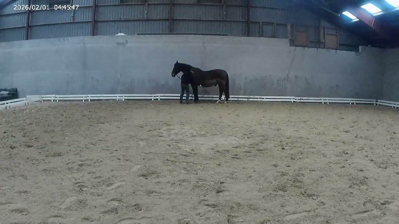 Feb 01   2026 Start of piaf traning