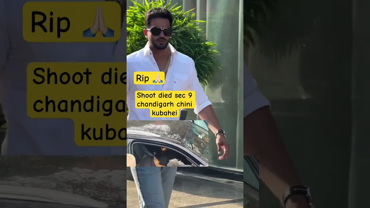 #chinni #chinni #chinikubaheri #chandigarh #firingincident