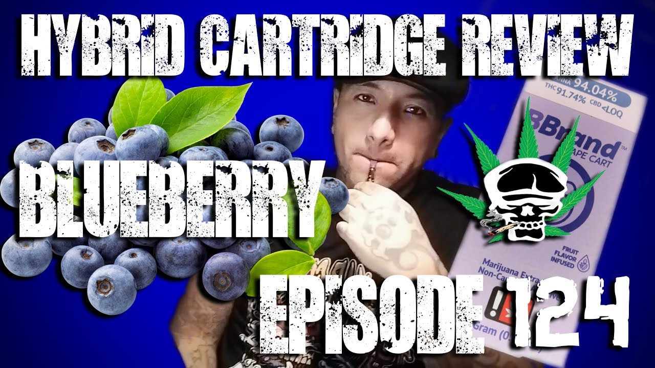 Hybrid Strain Review- Blueberry