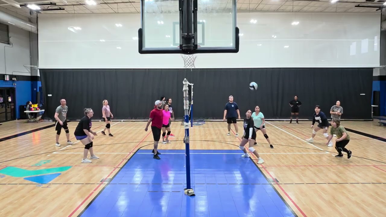 Net chaos vs volley vipers
