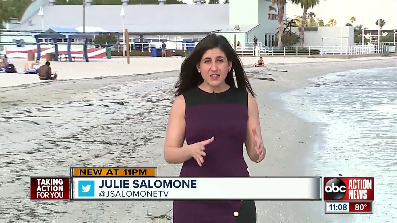 Nurdle Patrol looks for plastic pellets on Florida's beaches