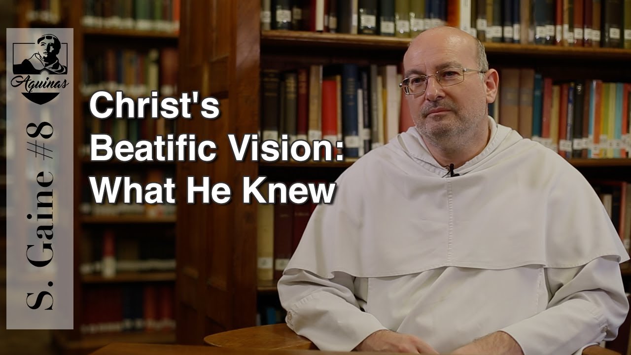 S. Gaine #8: What Does Christ Know through the Beatific Vision? (S. Th. III, 10)