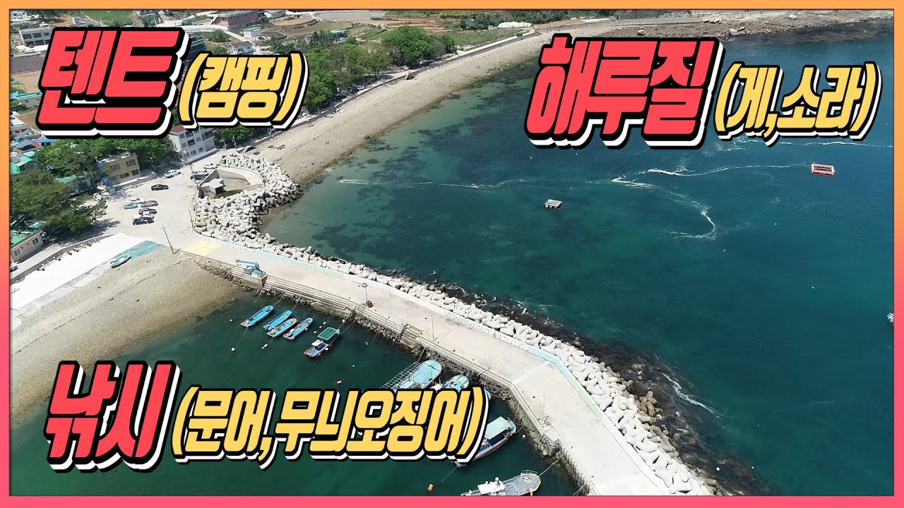 낚시와 해루질, 캠핑이 한곳에서 가능한 남해포인트 소개 [Korea's Camping and Fishing Style Video]