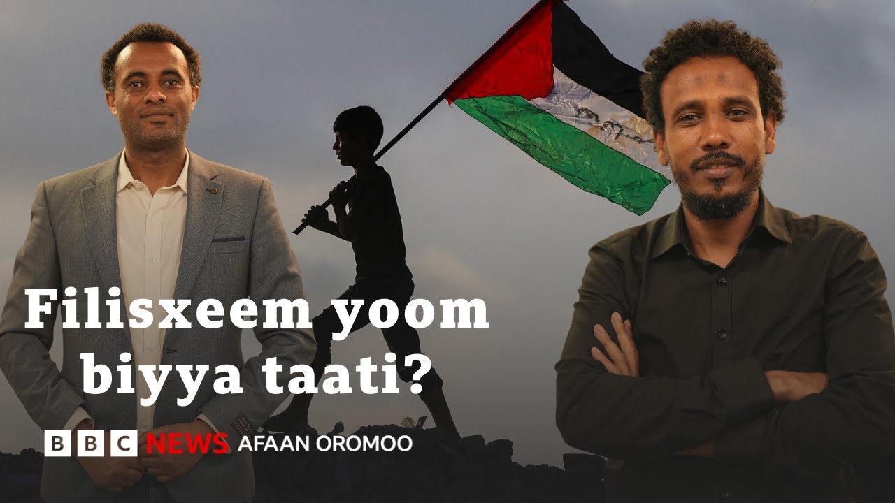 Haala amma jiruun beekamtiin biyyummaa Filisxeem ni milkaa’aa? | BBC News Afaan Oromoo