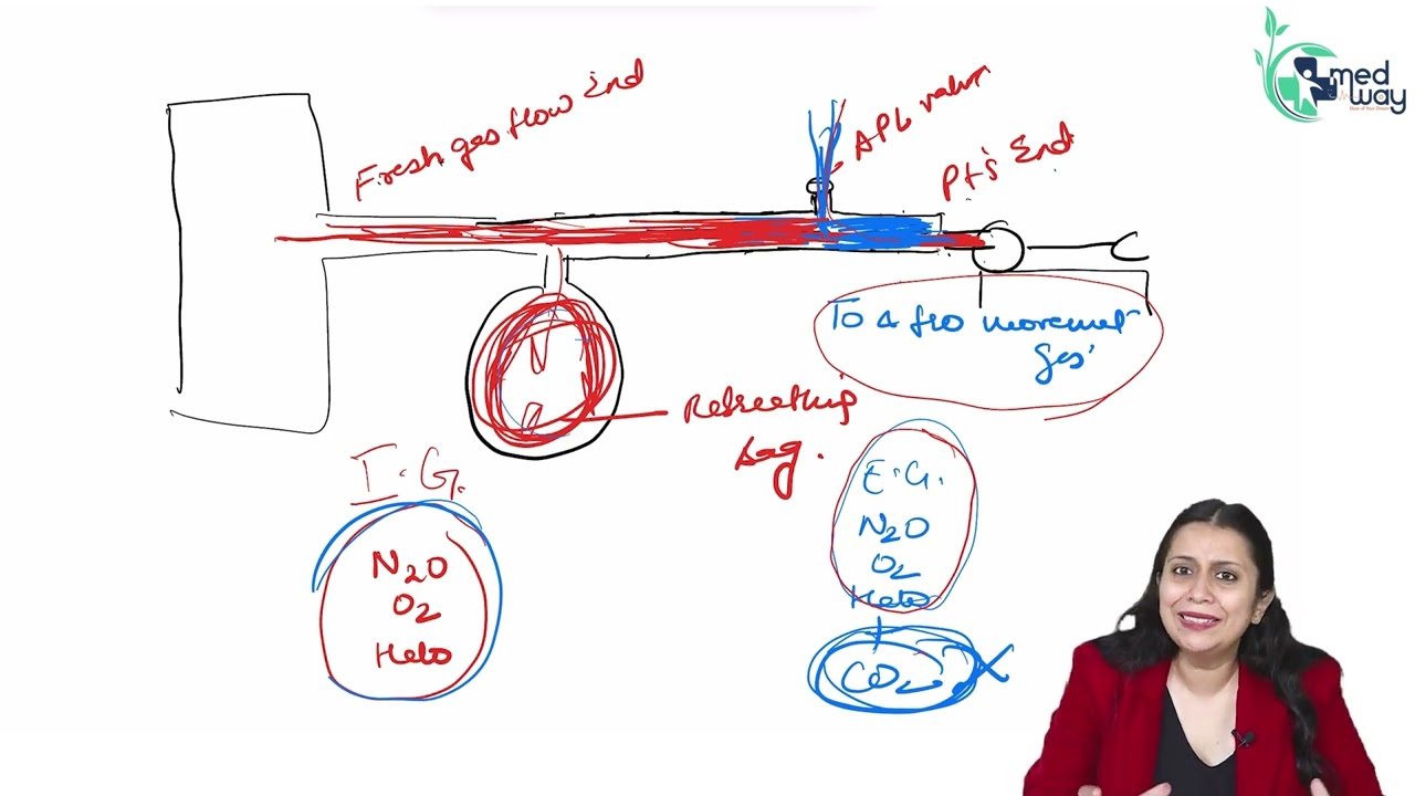 Anesthesia Circuit  ||  Anaesthesia  ||  By Dr. Swati Singh  #Medway