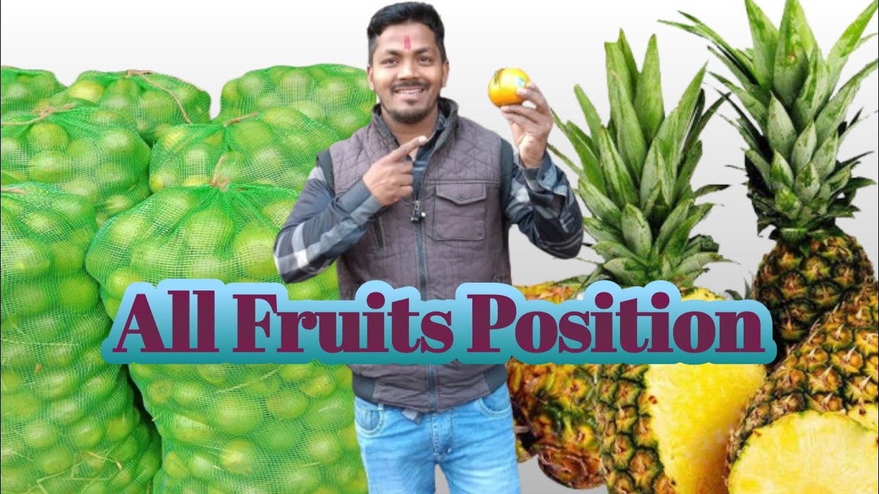 All Fruits Position// 