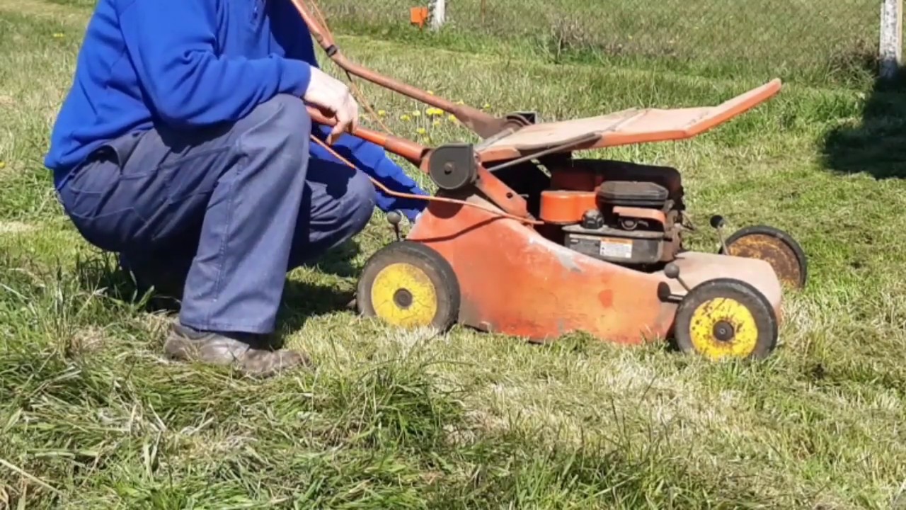 Tondeuse  wolf transformée  mulching
