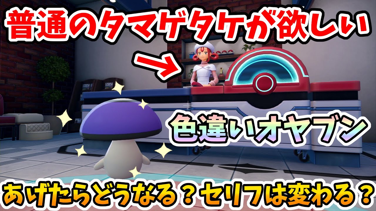 【ポケモンZA】意外な作り込みw普通のタマゲタケが欲しいお姉さんにオヤブン色違いタマゲタケをあげたらどうなる？【Switch2エディション】ポケットモンスターZA Part28