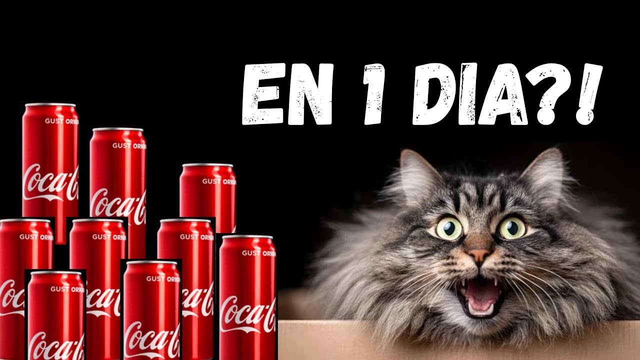 Qué le pasa a tu cuerpo si tomas 10 Coca‑Colas al día
