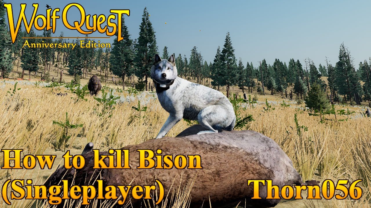 How to kill bison in Singleplayer Accurate | WolfQuest Anniversary Edition