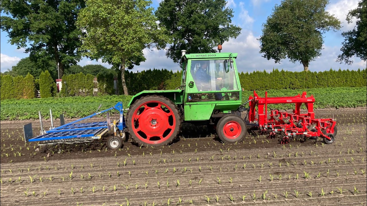 HENGERS.NL Deutz Intrac 2003 met Steketee EC weeder 5 en Treffler in de maïs
