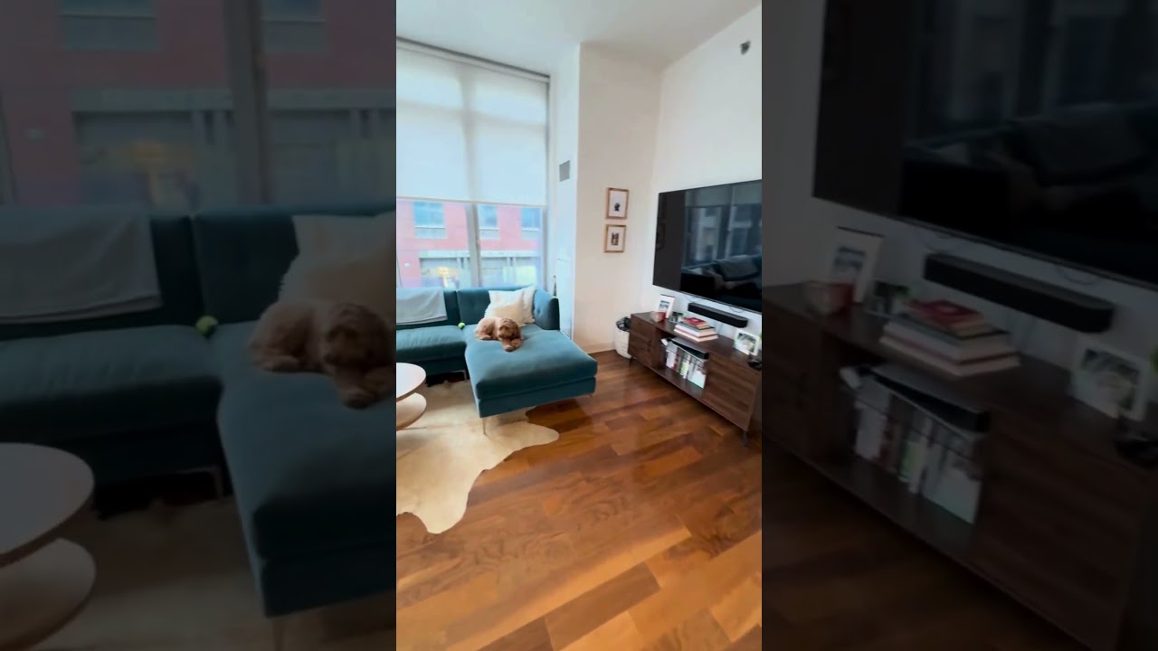 2 S video ZIP walkthrough 2025