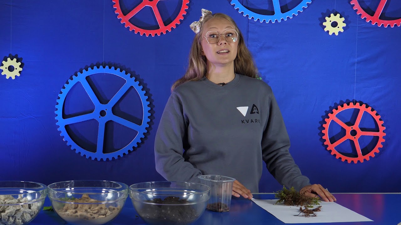 Mis on toiduahel ja milline on selle vihmaussi roll?