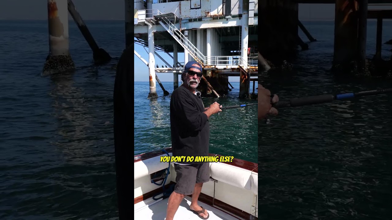 How to Catch a Calico Bass Easy! #fishing