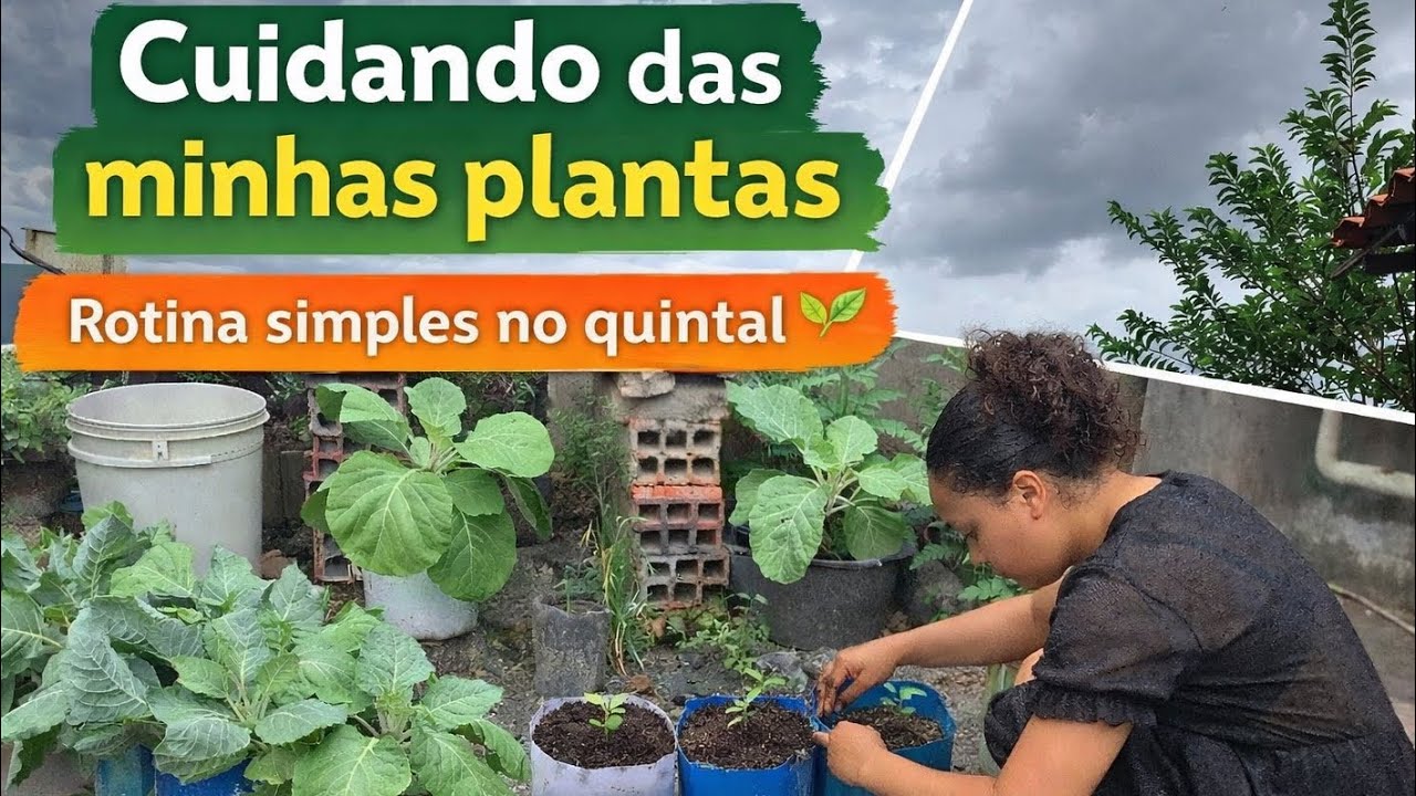 Cuidando das minhas plantas no quintal 🌱 | Rotina simples
