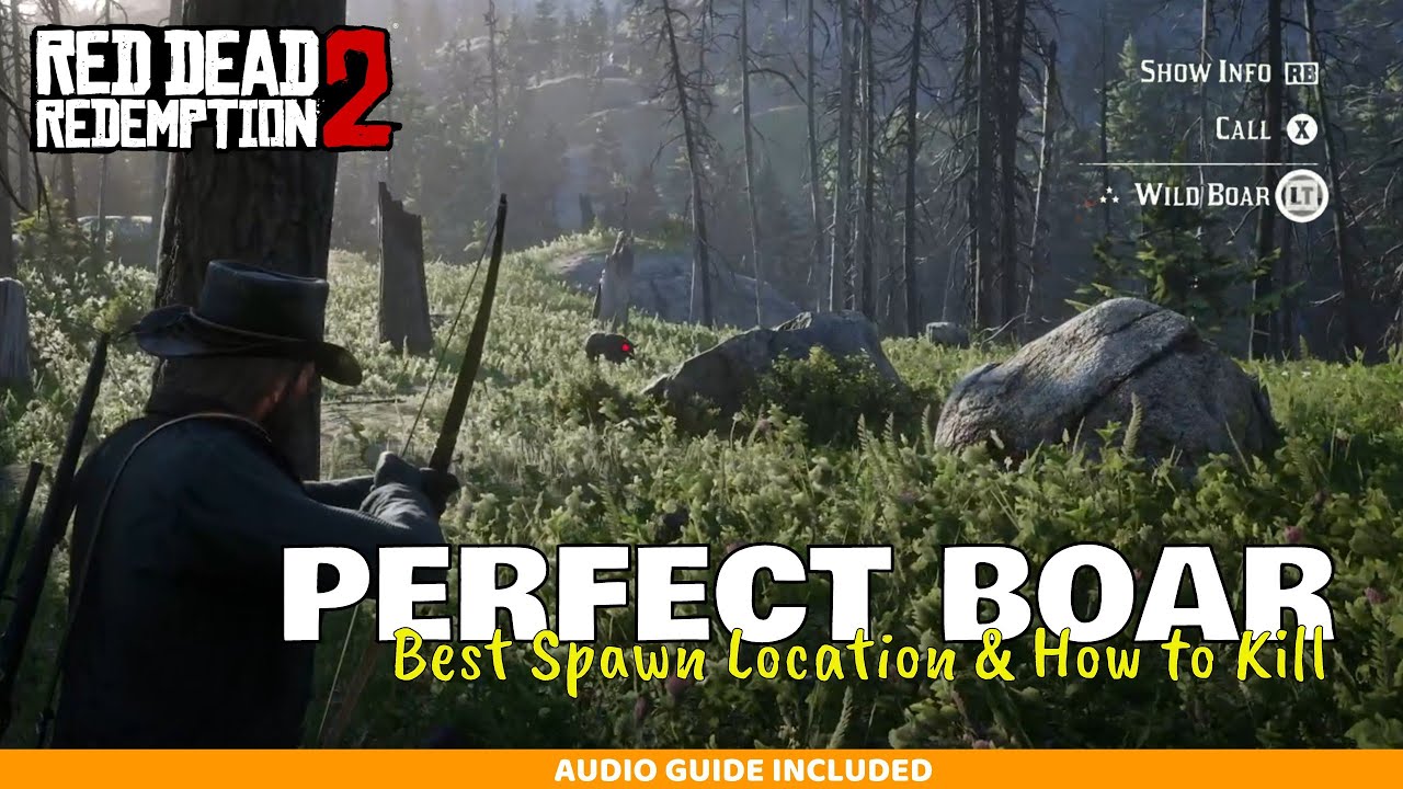Идеальная охота на кабана — путеводитель для идиотов по RDR2
