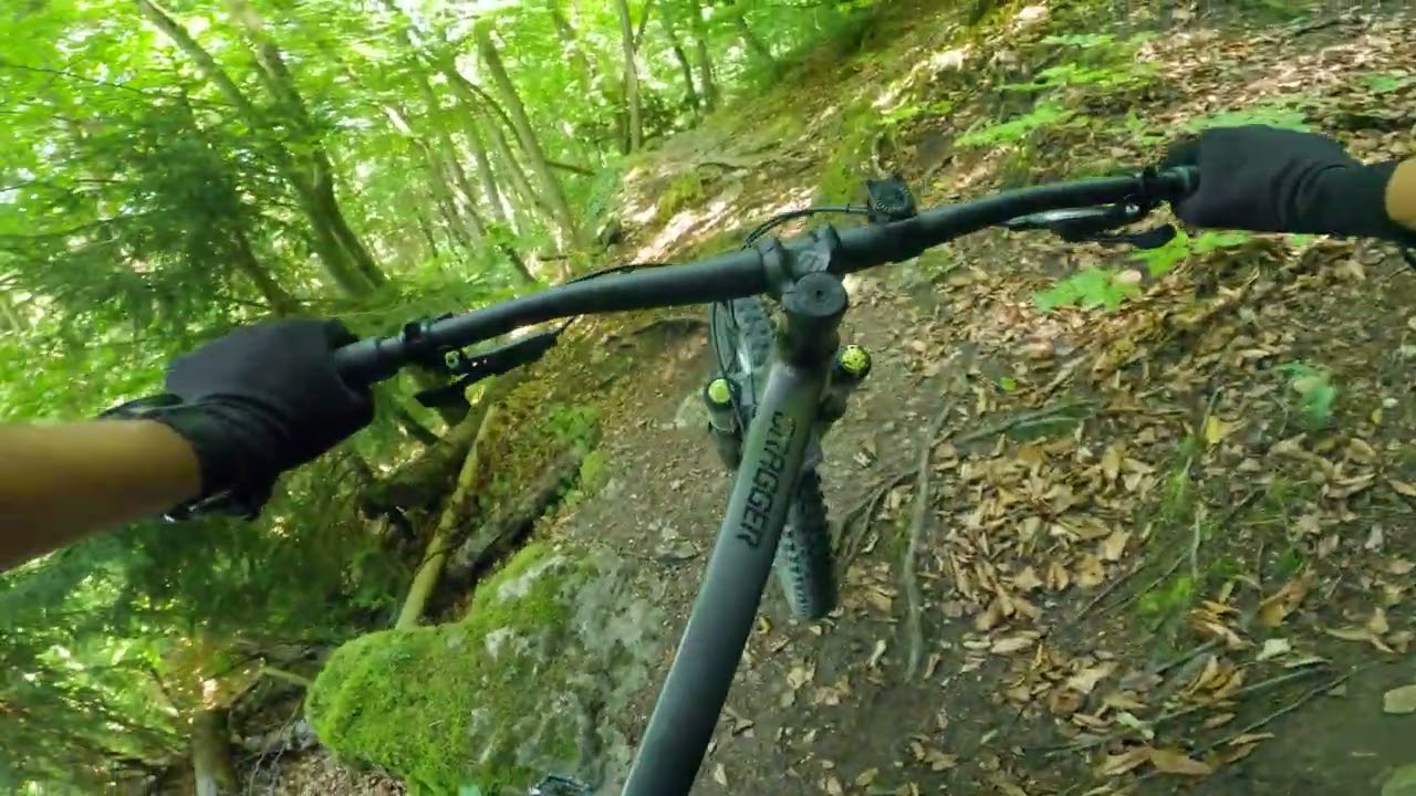MTB-Piel: Blue July  2025
